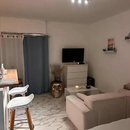 Joli Avec Terrasse Au Calme 尼斯